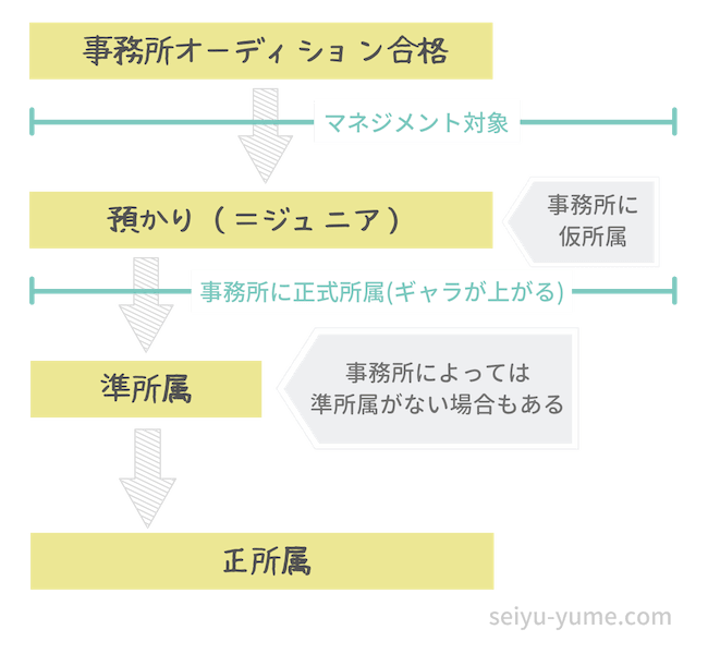 事務所に仮所属してから正所属の声優になるまでの図解